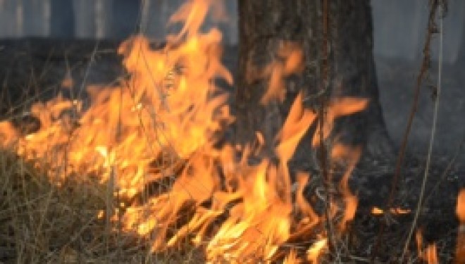 Zjarret – gjendje e jashtëzakonshme në Kili