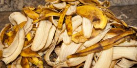 Lëkura e bananes, çfarë benefitesh ju sjell lëkurës suaj