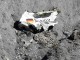 Misteri i avionit të rrëzuar qëllimisht