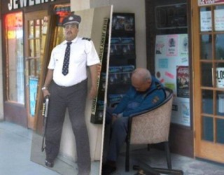 A keni parë dembelë më të mëdhenj?