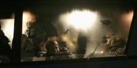 Riatdhesohen mbi 15 mijë migrantë