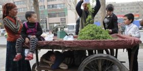 Kinë: Arrestohen ujgurët që dyshohet se luftuan për IS-in