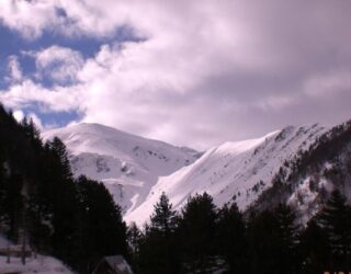 Ortek bore në Brezovicë