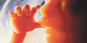 Lind fëmija e ngjizur nga sperma e babait të vdekur para 48 orëve