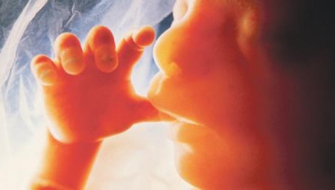 Lind fëmija e ngjizur nga sperma e babait të vdekur para 48 orëve