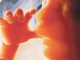 Lind fëmija e ngjizur nga sperma e babait të vdekur para 48 orëve