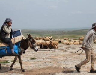 Të karikosh celularin në shpinën e gomarit [Foto]