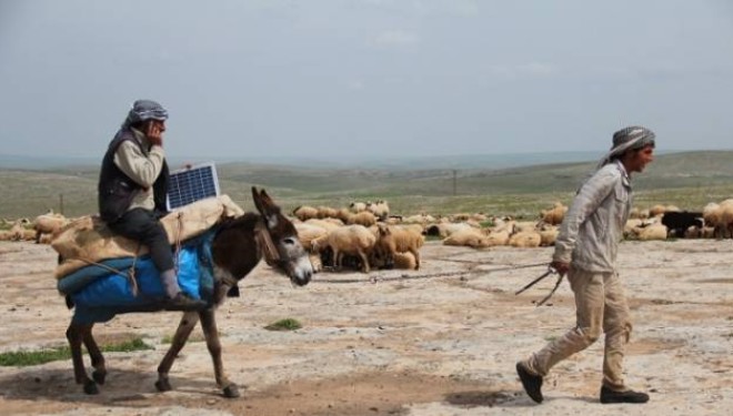 Të karikosh celularin në shpinën e gomarit [Foto]