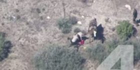Pamje shokuese: 10 policë rrahin të ikurin (Video)