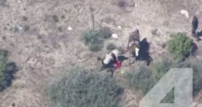 Pamje shokuese: 10 policë rrahin të ikurin (Video)
