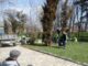 Sivjet në Prishtinë do të mbillen rreth 400 mijë lule, prodhim vendor (Foto)