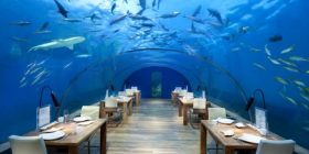 5 restaurantet më të çuditshme në botë. Tek cili do donit të darkonit? Vizitoni galerinë (FOTO)