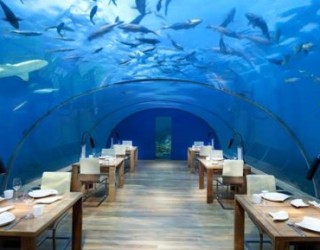 5 restaurantet më të çuditshme në botë. Tek cili do donit të darkonit? Vizitoni galerinë (FOTO)