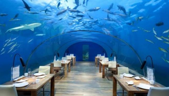 5 restaurantet më të çuditshme në botë. Tek cili do donit të darkonit? Vizitoni galerinë (FOTO)
