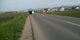 Aksident i rëndë trafiku në Pestovë (FOTO)
