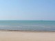 Në Durrës nis dezinsektimi i plazhit pas 25 vitesh