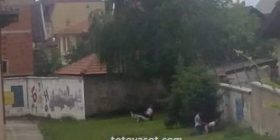 Seks në oborrin e shkollës në Tetovë (Foto +18)