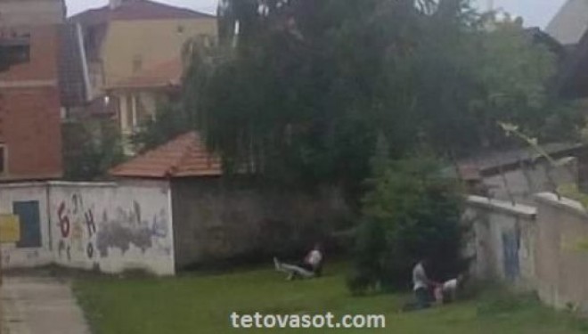 Seks në oborrin e shkollës në Tetovë (Foto +18)