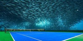 Çmenduri Dubaiane, tenis nën ujë (Foto)