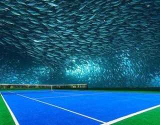 Çmenduri Dubaiane, tenis nën ujë (Foto)
