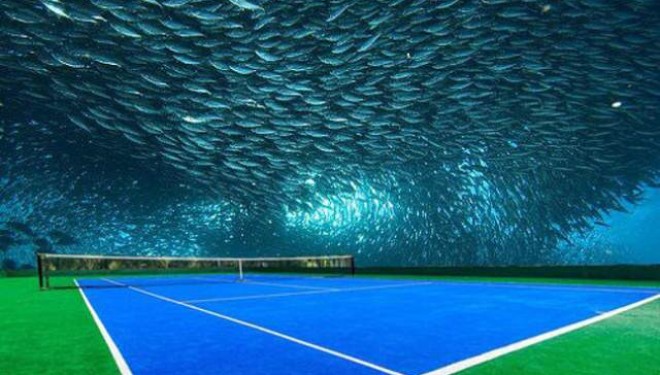 Çmenduri Dubaiane, tenis nën ujë (Foto)