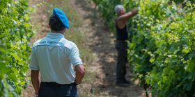 Të burgosurit që paguhen 1500 euro në muaj (Foto)
