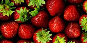 Dredhëzat parandalojnë celulitin, i zbardhin dhëmbët…