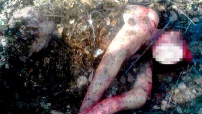 Gruaja që u “varros” nga ariu: Më ruajti për vaktin tjetër [Video/ Pamje shqetesuese]