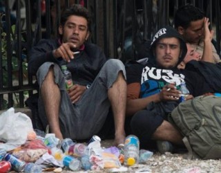 Fluks i madh refugjatësh, katastrofë humanitare në Preshevë (Foto)