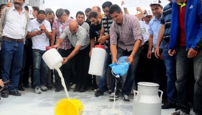 Qumështarët protestojnë sot në shenjë pakënaqësie me gjendjen në këtë sektor