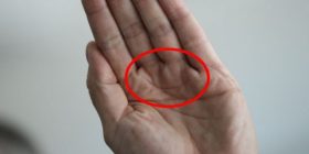 Këtë linjë në shuplakë disa e kanë, disa jo. Ja se çka do të thotë kjo për fatin tuaj në dashuri!