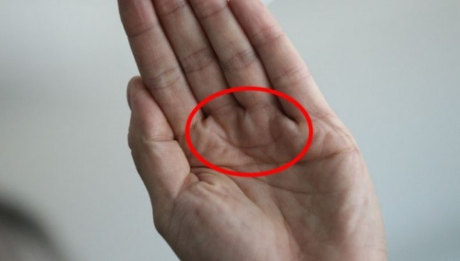 Këtë linjë në shuplakë disa e kanë, disa jo. Ja se çka do të thotë kjo për fatin tuaj në dashuri!