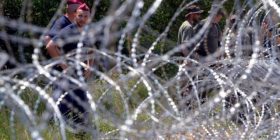 Hungari, 900 ushtarë nisin ndërtimin e murit anti-emigrant në kufi me Serbinë (Foto)