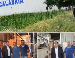 Kryetari Haziri viziton depo-frigoriferin “Calabria”