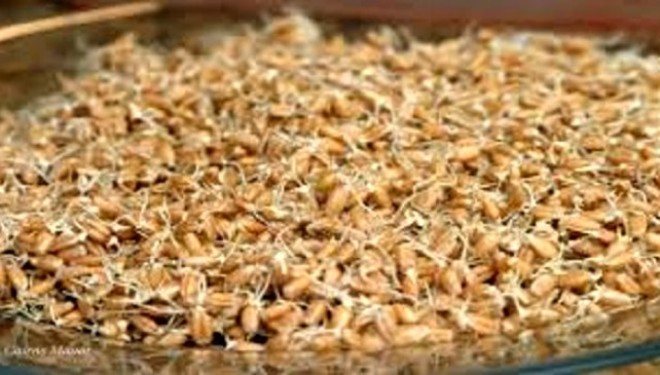 Shkencëtari rus habit botën / ‘Një lugë nga ky ilaç dhe shpëtoni nga kanceri’