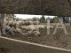 Llava e ujqve ia mbyt çerekun e deleve familjes Sokoli në Viti