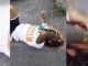 Ja çfarë i bënë familja shqiptare gazetarit italian dhe babait të tij (Video)