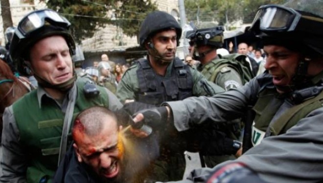 Palestinezët po veprojnë sikur shqiptarët në vitet e ’90-ta (Video)