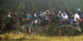 Maqedoni 2 mijë emigrantë çajnë gardhin rrethues! (Foto/Video)