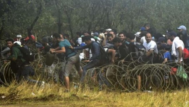 Maqedoni 2 mijë emigrantë çajnë gardhin rrethues! (Foto/Video)