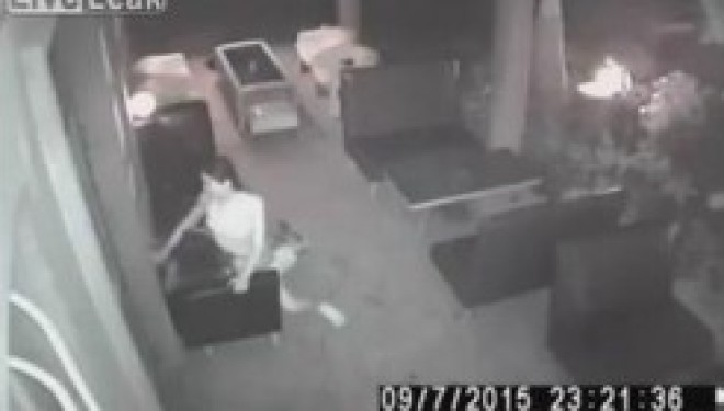 Nisin të bëjnë seks në lokal, por… (Video+18)