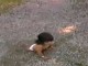 Prindërit e braktisën sepse nuk kishte këmbë, por nuk do ta besoni se me çfarë merret ajo sot (Video)