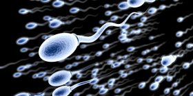 Ushqimi i duhur për spermatozoidë të shëndetshëm