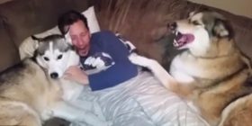 Qeni më xheloz në botë (Video)