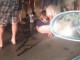 Aksidenti në Prishtinë, policia arreston vozitësin (Foto)