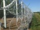 Hungaria arreston 60 migrantë