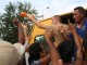 Refugjatëve u hidhet ushqimi si kafshëve (VIDEO)
