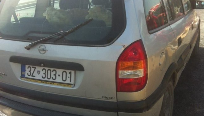 Me kerr të Shtetit bartë turshi (FOTO)