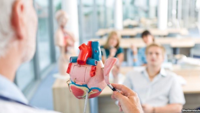 Kardiokirurgjia jofunksionale, synohet të punojë 24 orë