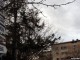 Shumë donacione e shumë mangësi në institucionet shëndetësore